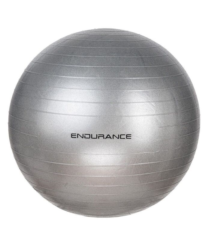 Endurance Gym Ball 65 cm