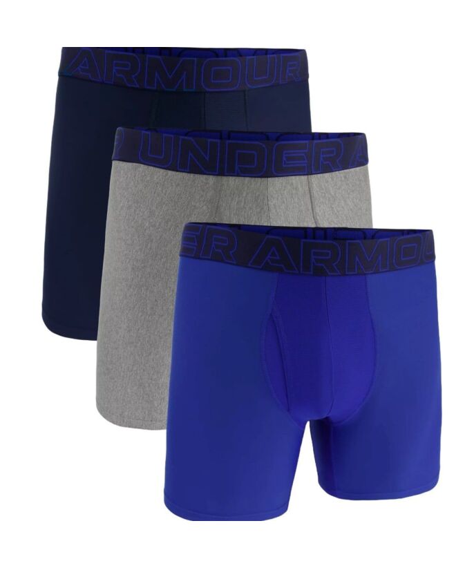 Under Armour  M Ua Perf Tech 6in Herre